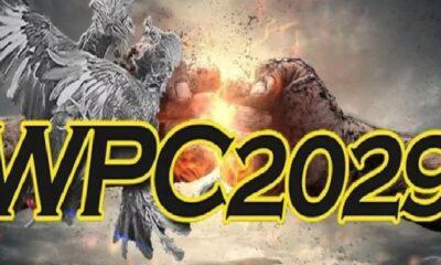 Wpc2029