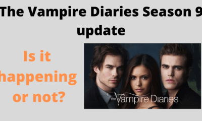 The Vampire Diaries Season 9 update_ Is is happening or not_