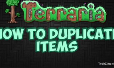 How to duplicate items in Terraria