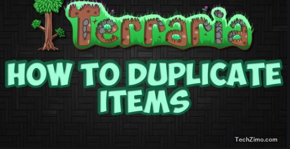 How to duplicate items in Terraria