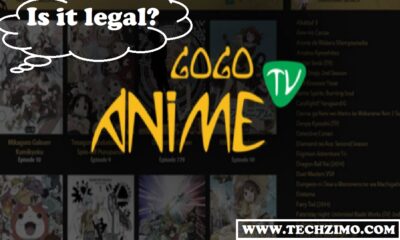 Is Gogoanime Safe and Legal | What is The Real Gogoanime Website?