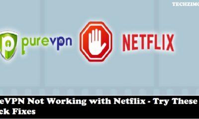 PureVPN Not Working with Netflix