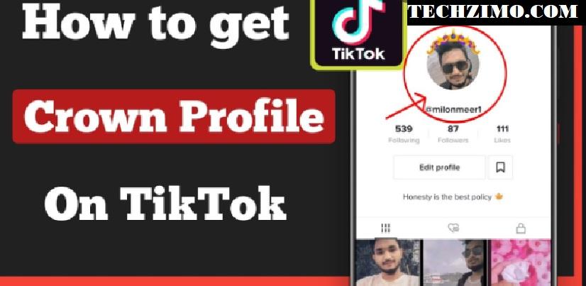 TikTok Profile Picture