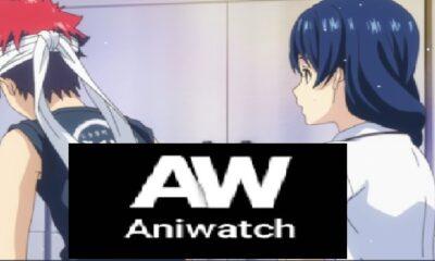 Is Aniwatch Safe