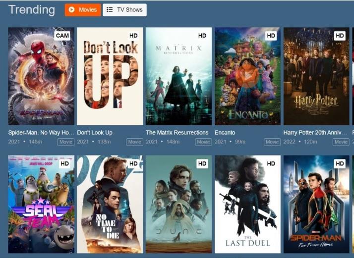 Everything You Need to Know About Online Streaming Site