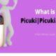 Picuki for Instagram