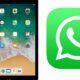 whatsApp beta includes native iPad support