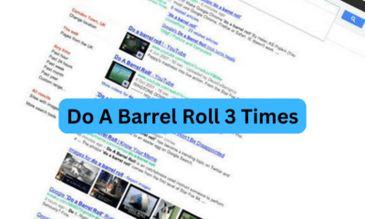 do a barrel roll 3 times