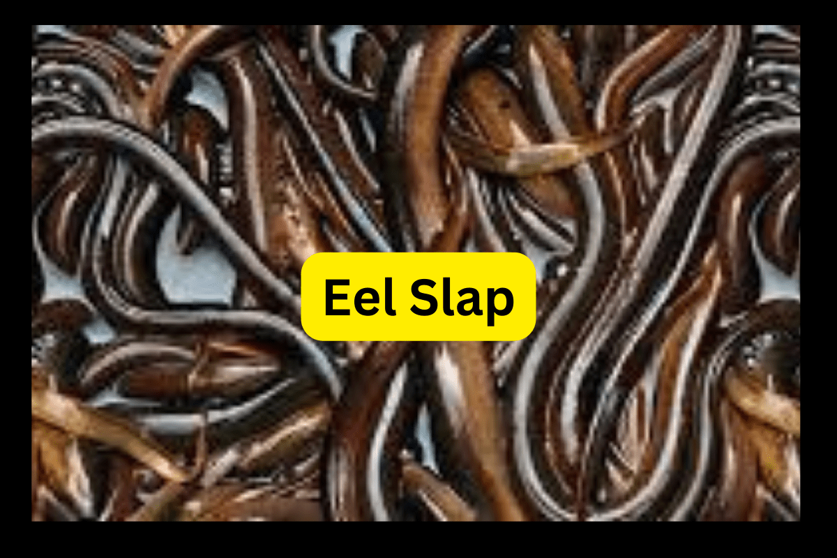eel slap