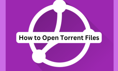 Open Torrent files